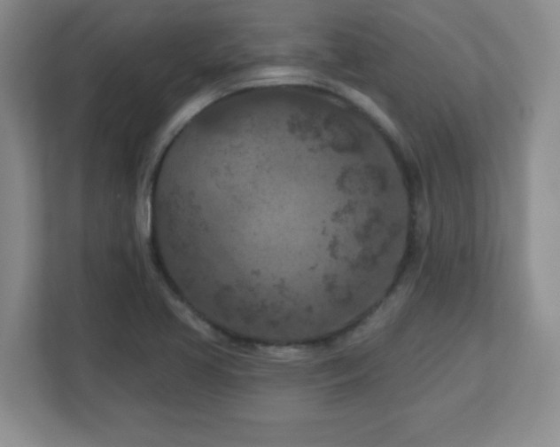 X0000113121413200909041257