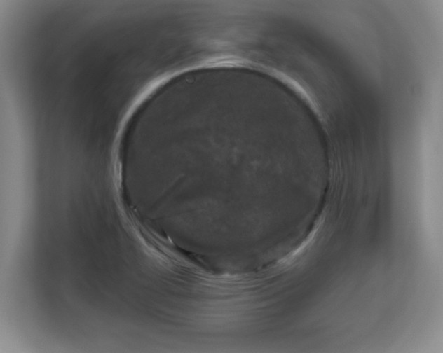 X0000113121414200909041257