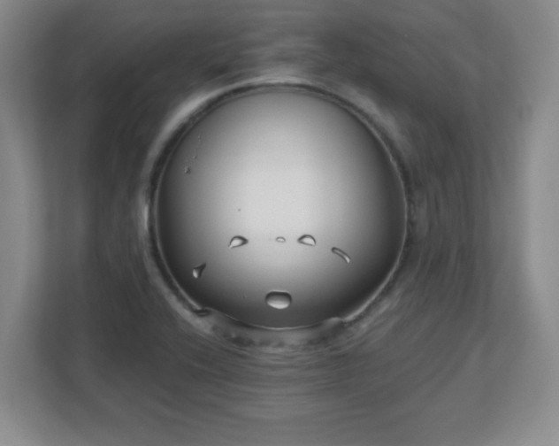 X0000113121416200909041257