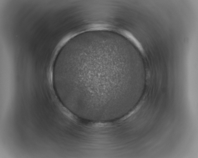 X0000113121419200909041257