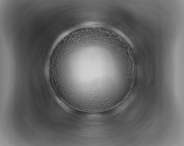 X0000113121421200909041257