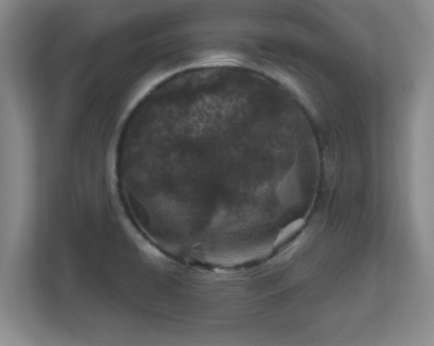 X0000113121422200909041257