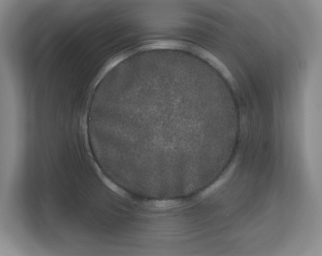 X0000113121425200909041257