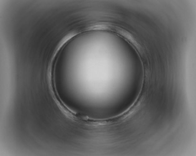 X0000113121426200909041257