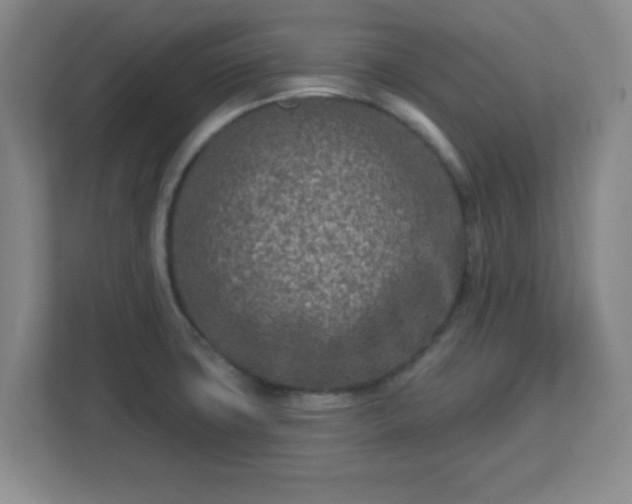 X0000113121427200909041257