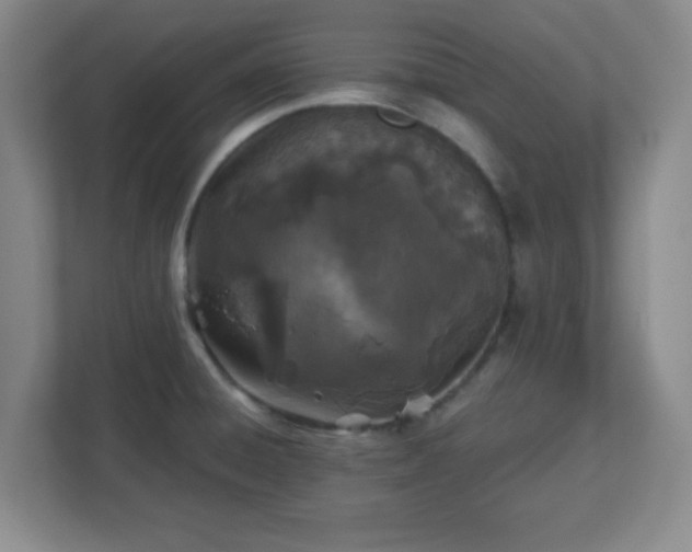 X0000113121428200909041257