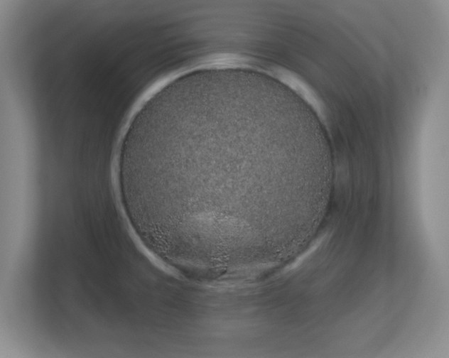 X0000113121429200909041257