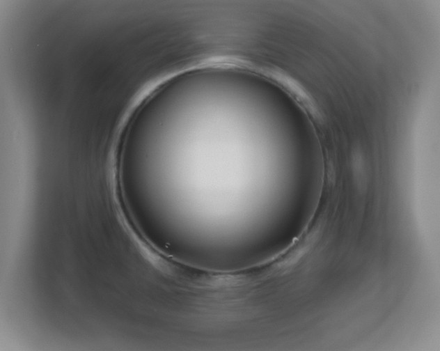 X0000113121430200909041257