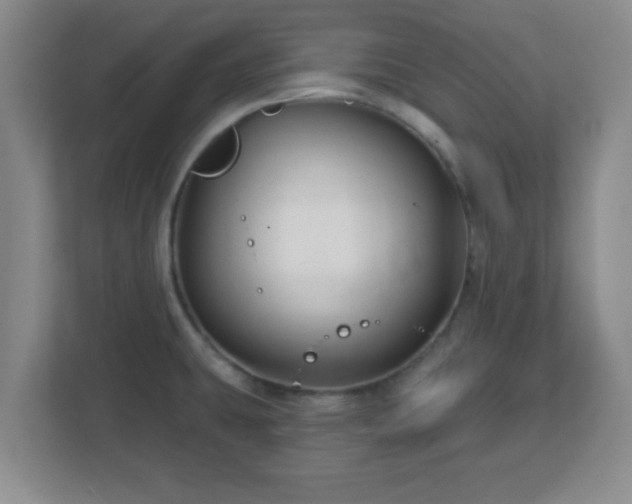 X0000113121431200909041257