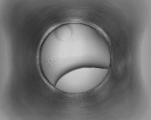 X0000113121432200909041257