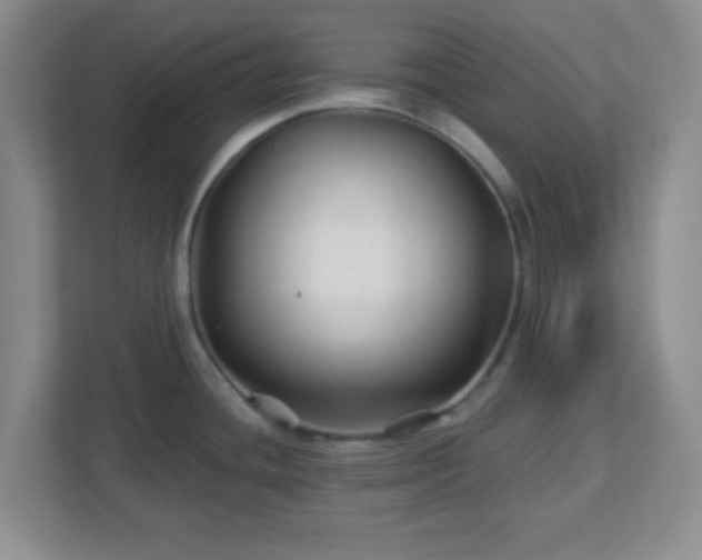 X0000113121436200909041257