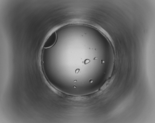 X0000113121437200909041257