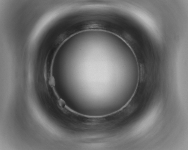 X0000113121438200909041257