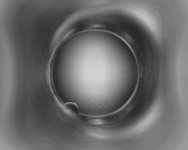 X0000113121439200909041257