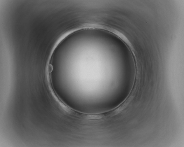 X0000113121440200909041257