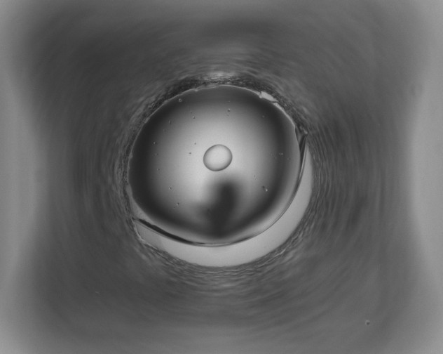 X0000113121441200909041256