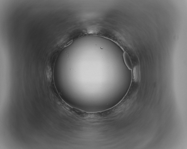 X0000113121443200909041256