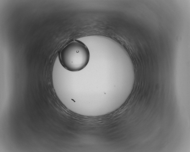 X0000113121444200909041256