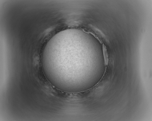 X0000113121445200909041256