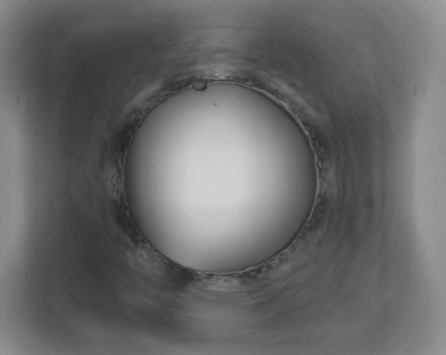 X0000113121446200909041256