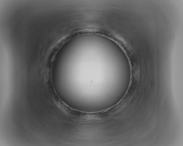 X0000113121448200909041256