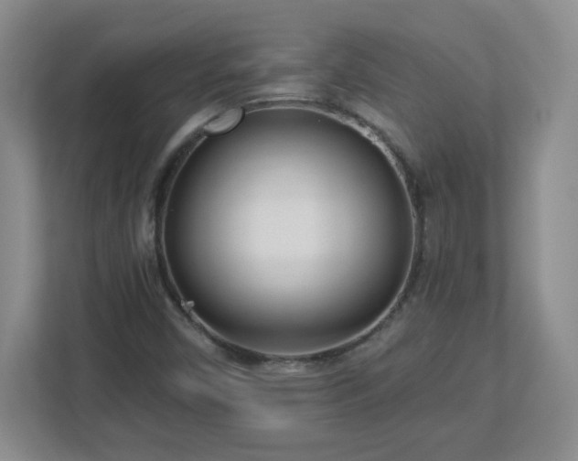 X0000113121450200909041256