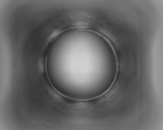 X0000113121451200909041256