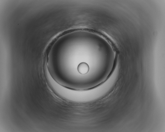 X0000113121452200909041256