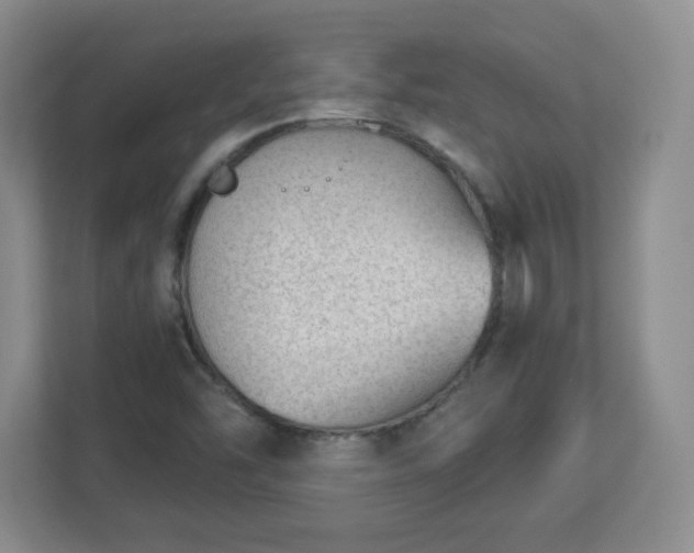 X0000113121454200909041256