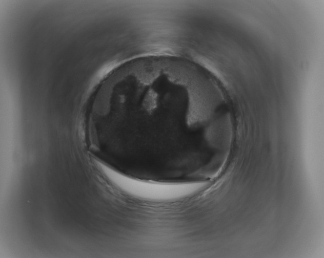 X0000113121455200909041256