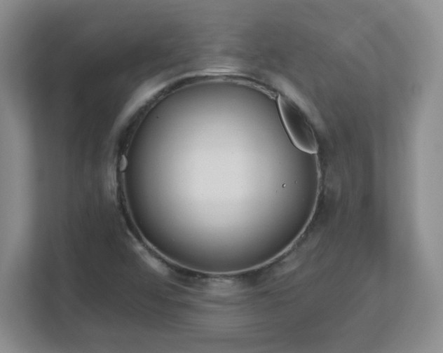 X0000113121456200909041256