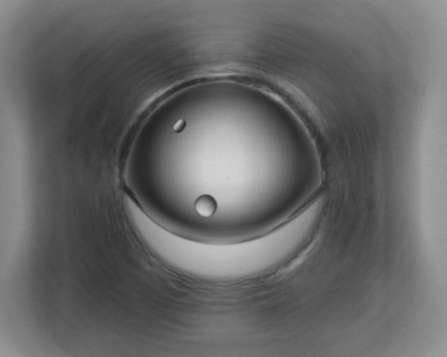 X0000113121457200909041256