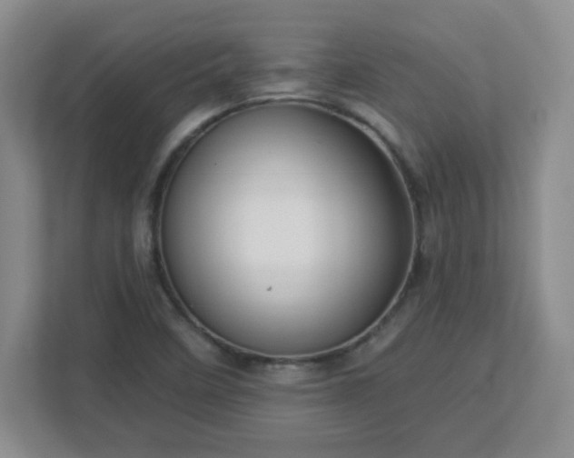 X0000113121458200909041256