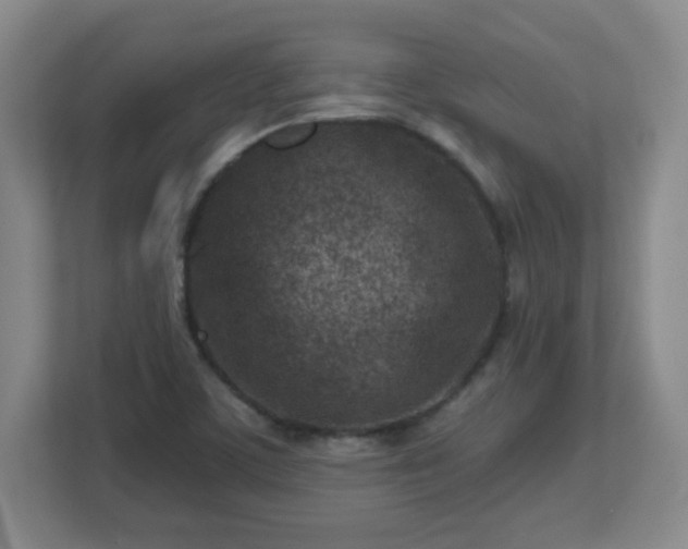 X0000113121459200909041256