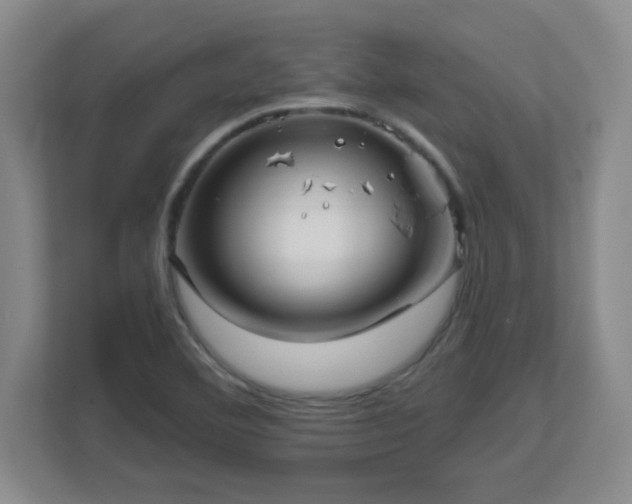 X0000113121460200909041256