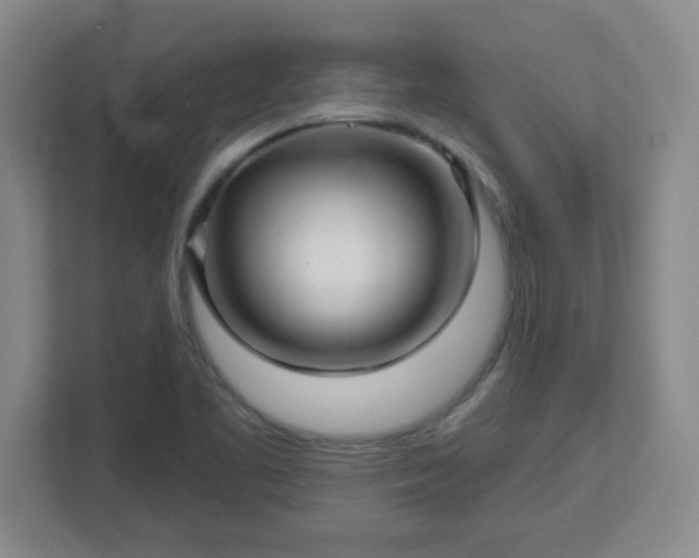 X0000113121461200909041256