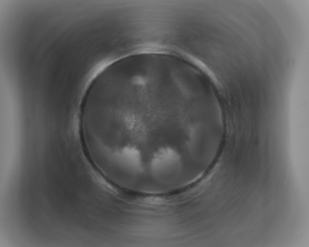 X0000113121463200909041256