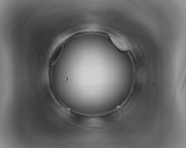 X0000113121464200909041256