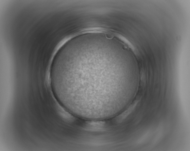 X0000113121466200909041256