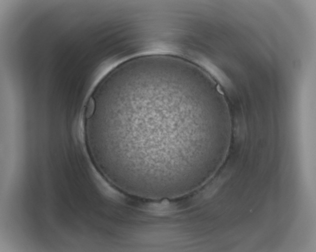 X0000113121468200909041256