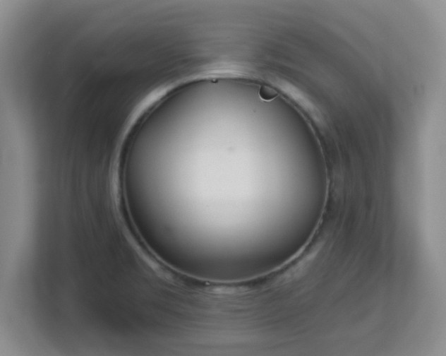 X0000113121469200909041256