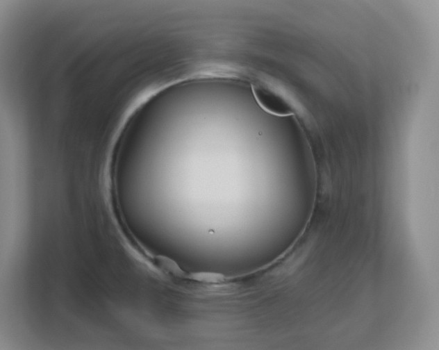 X0000113121471200909041256