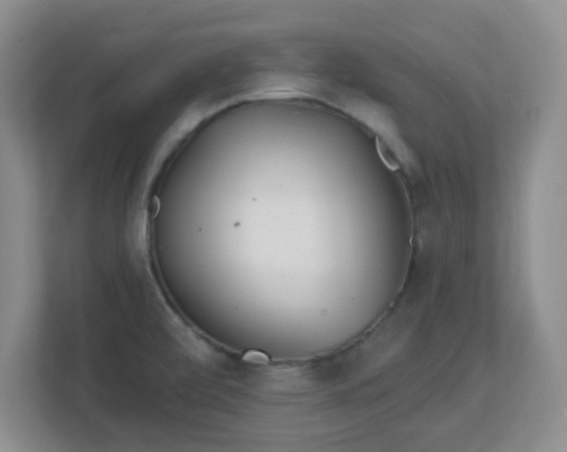 X0000113121472200909041256