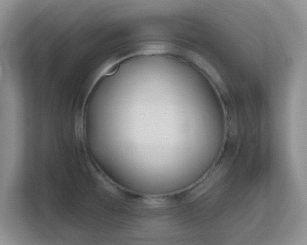 X0000113121473200909041256