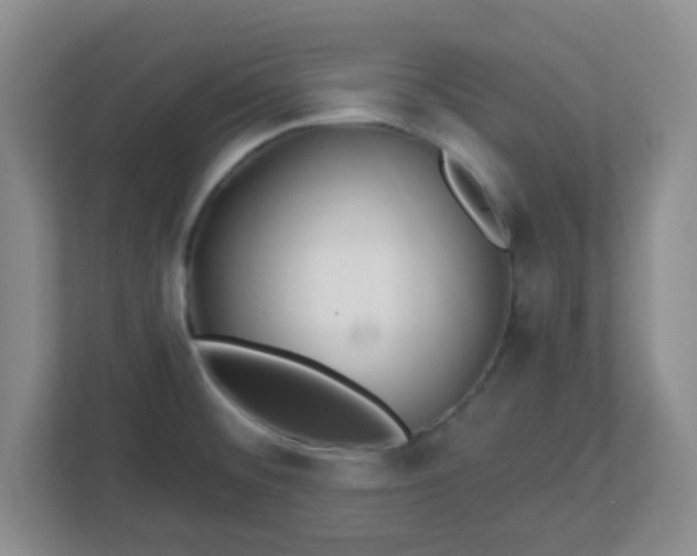 X0000113121476200909041256