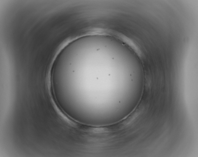 X0000113121479200909041256