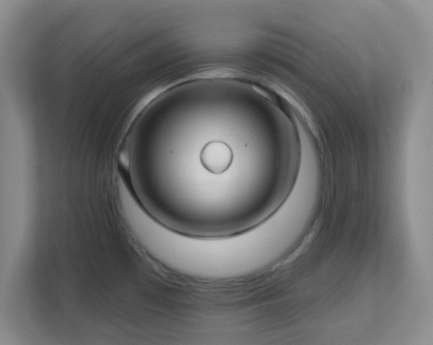 X0000113121481200909041256