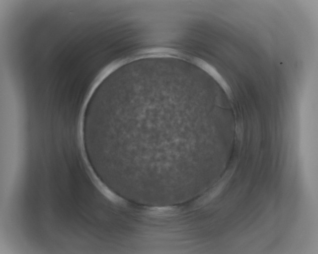 X0000113121482200909041256