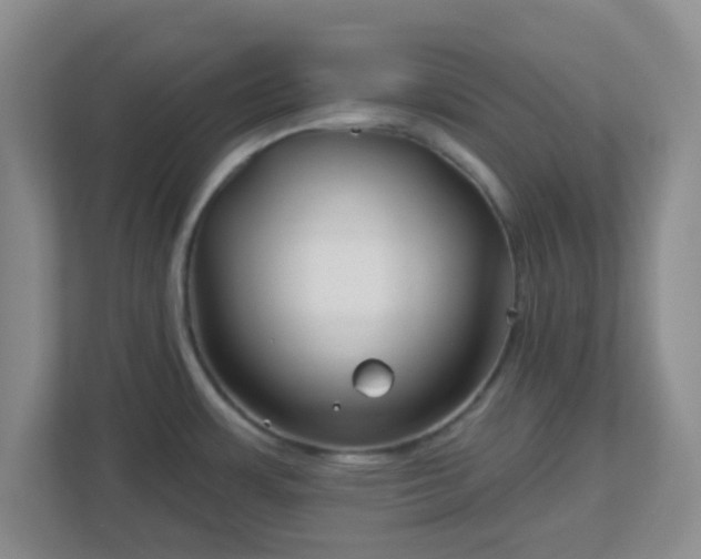 X0000113121483200909041256