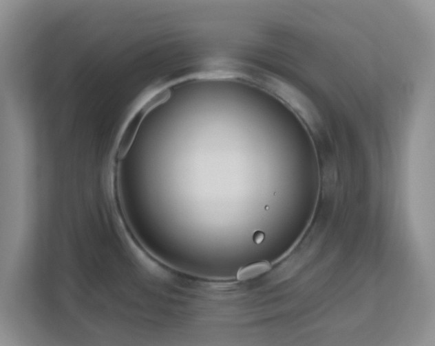 X0000113121484200909041256